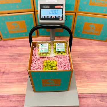 Gooseberries Fruit Box Specialty Box Tropical Fruit Box